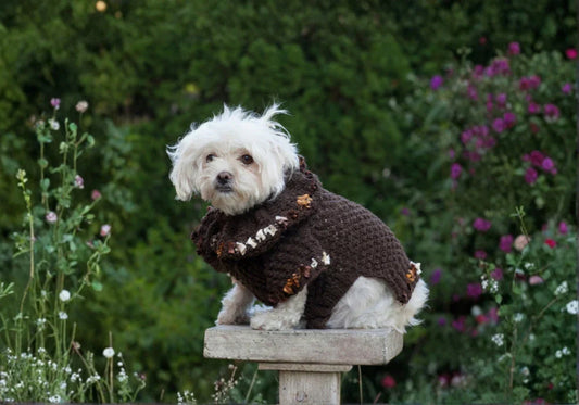 Pet Clothes