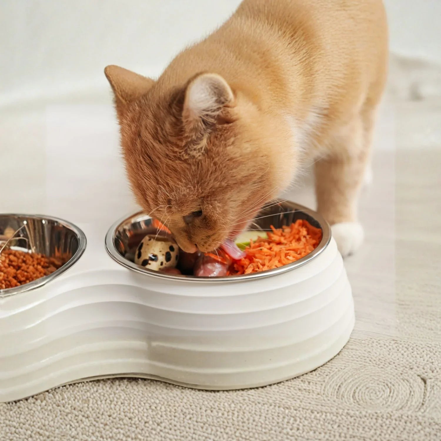 Pet Feeding