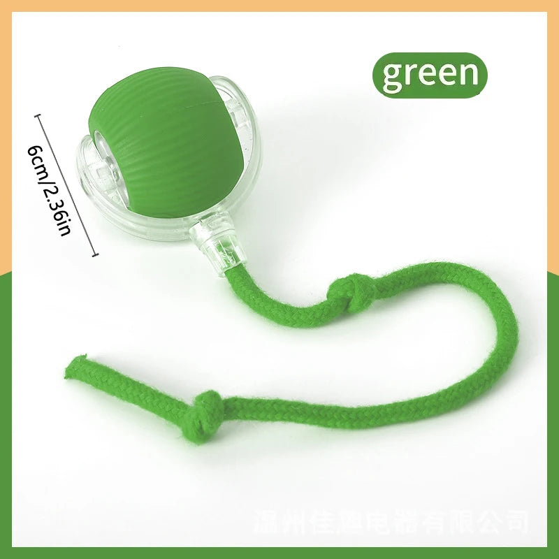Pet Toy Moving Ball USB Automatic