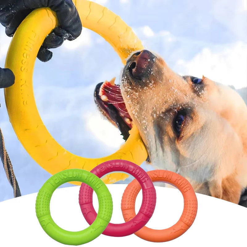 Pet Flying Disk Chewing Toys Outdoor Interactive