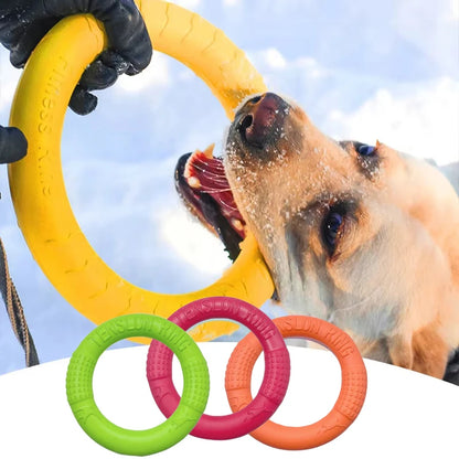 Pet Flying Disk Chewing Toys Outdoor Interactive
