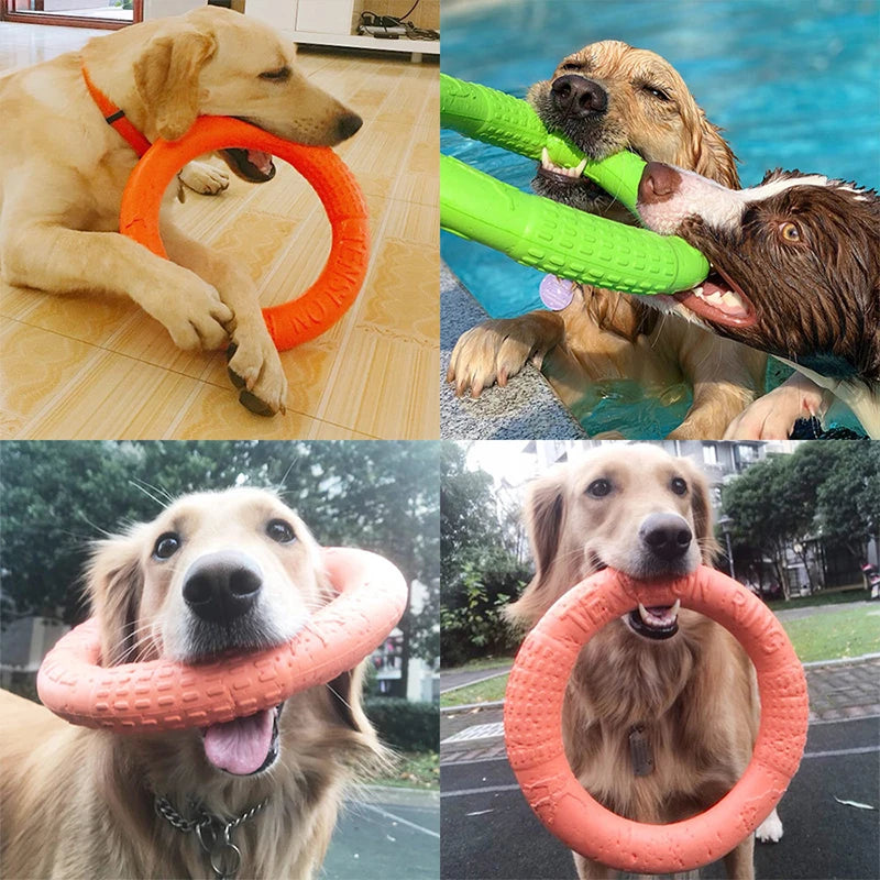 Pet Flying Disk Chewing Toys Outdoor Interactive