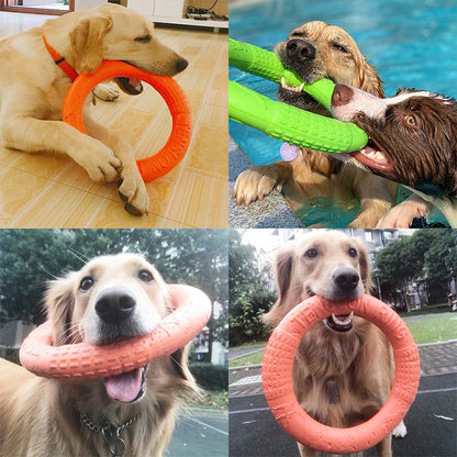 Pet Flying Disk Chewing Toys Outdoor Interactive