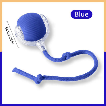 Pet Toy Moving Ball USB Automatic