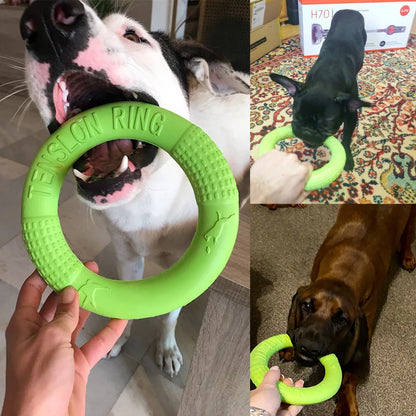 Pet Flying Disk Chewing Toys Outdoor Interactive