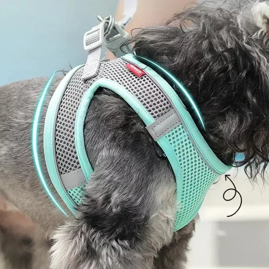 Puppy Harness Set Dog Accessories Adjustable