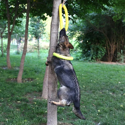 Pet Flying Disk Chewing Toys Outdoor Interactive