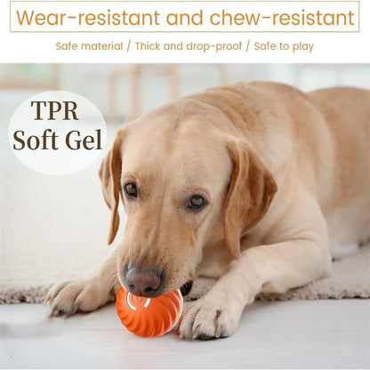 Pet Toy Moving Ball USB Automatic