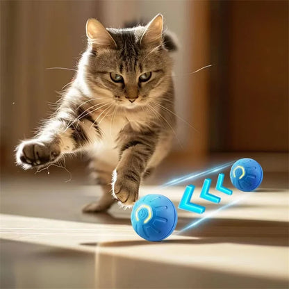 Pet Toy Moving Ball USB Automatic