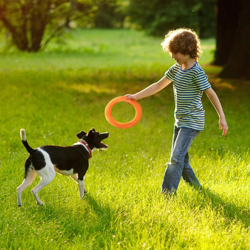 Pet Flying Disk Chewing Toys Outdoor Interactive