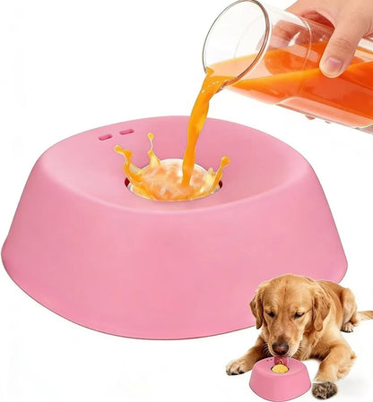Anti-Choking Slow Feeder Dog Bowl Non-Slip