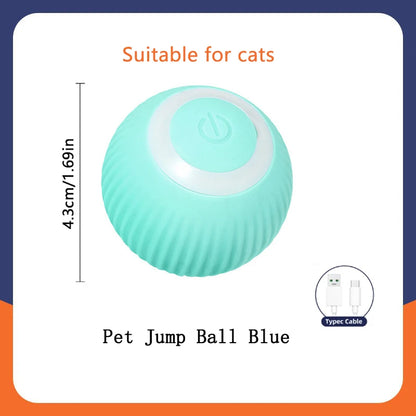 Pet Toy Moving Ball USB Automatic