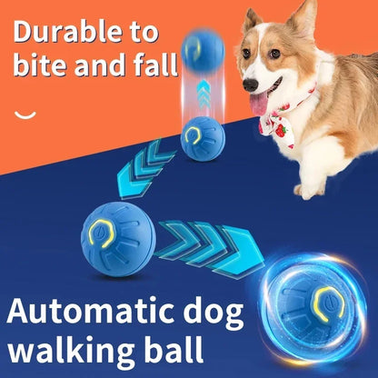 Pet Toy Moving Ball USB Automatic