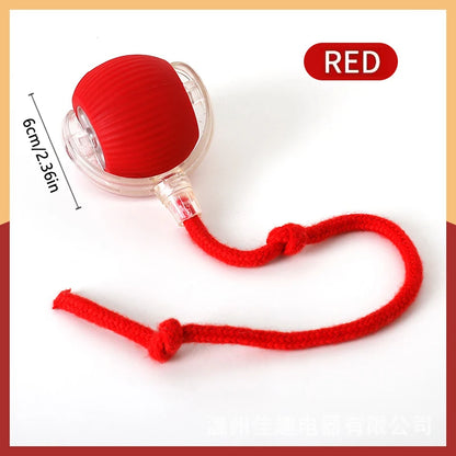 Pet Toy Moving Ball USB Automatic