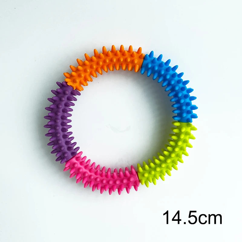 Pet Flying Disk Chewing Toys Outdoor Interactive