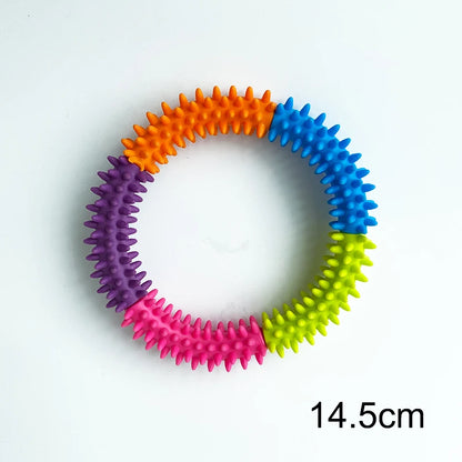 Pet Flying Disk Chewing Toys Outdoor Interactive