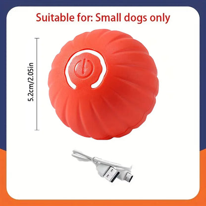 Pet Toy Moving Ball USB Automatic