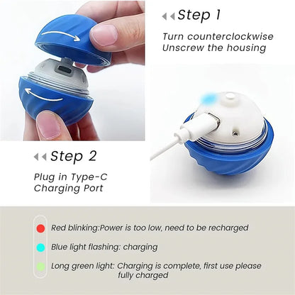 Pet Toy Moving Ball USB Automatic