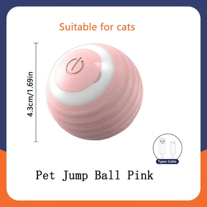 Pet Toy Moving Ball USB Automatic
