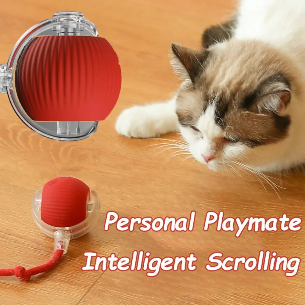 Automatic Rolling Ball Faux Tail Rechargeable Smart Pet